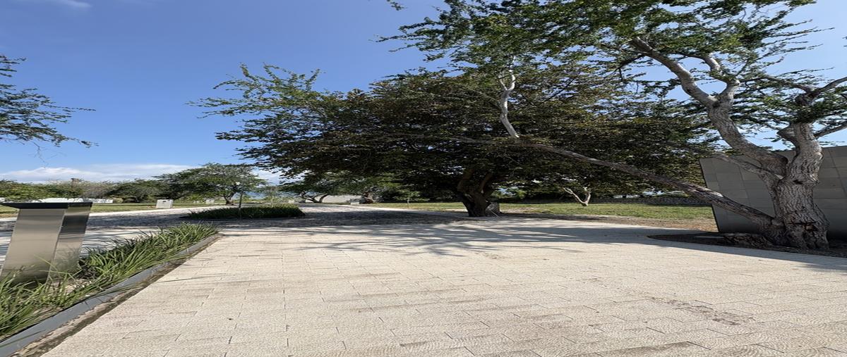 Foto de terreno habitacional en porfirio díaz , san cristóbal zapotitlán, jocotepec, jalisco, 0 foto 02 Foto de terreno habitacional en venta en porfirio díaz , san cristóbal zapotitlán, jocotepec, jalisco, 0 No. 02