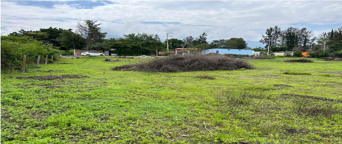 Foto de terreno habitacional en venta en porfirio diaz , santo domingo barrio alto, villa de etla, oaxaca, 28817180 No. 03
