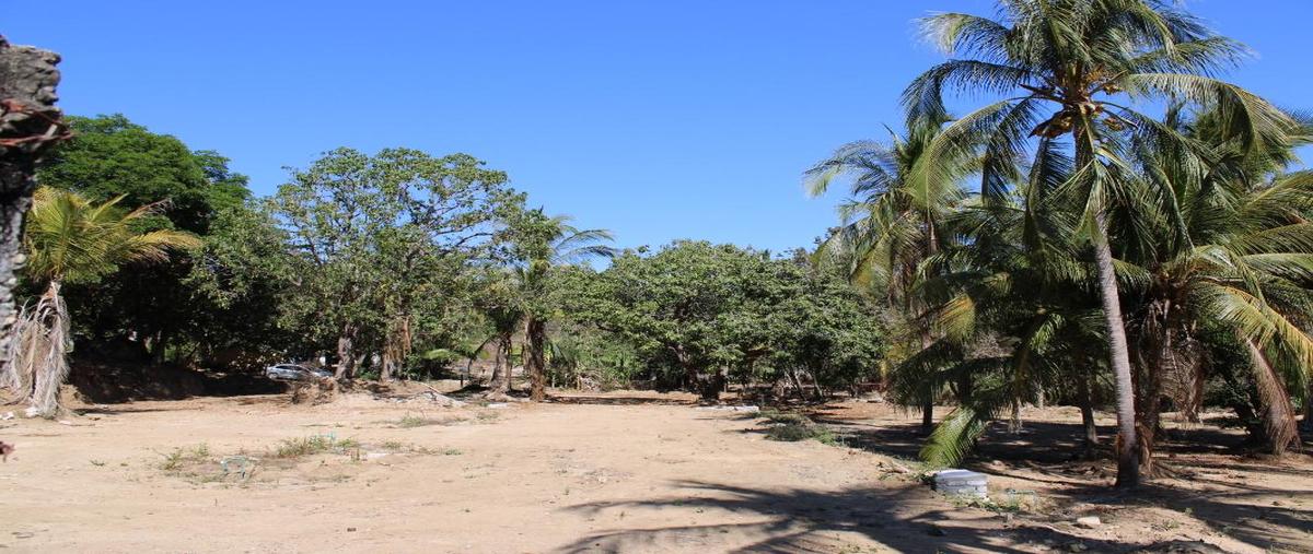 Foto de terreno habitacional en venta en porfirio díaz , sector reforma, san pedro mixtepec -dto. 22 -, oaxaca, 26141014 No. 05