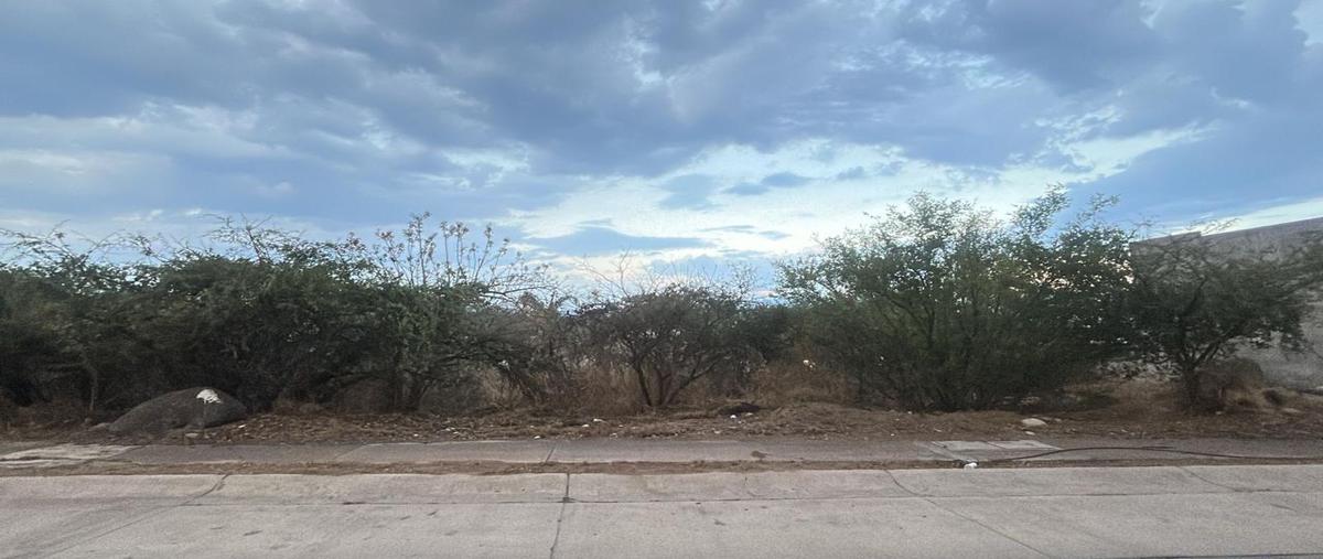 Foto de terreno habitacional en venta en  , porta fontana, león, guanajuato, 0 No. 03