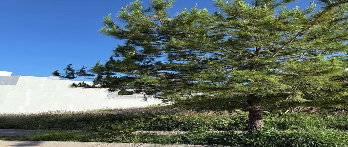 Foto de terreno habitacional en venta en porta marema , porta fontana, león, guanajuato, 0 No. 04