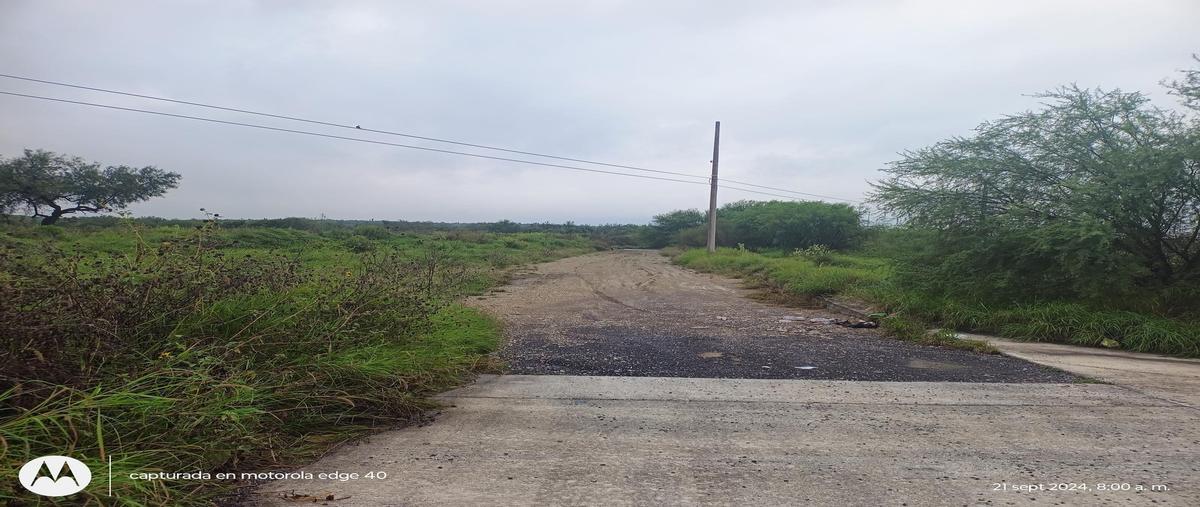 Foto de terreno industrial en venta en  , portal del norte, general zuazua, nuevo león, 27927276 No. 05
