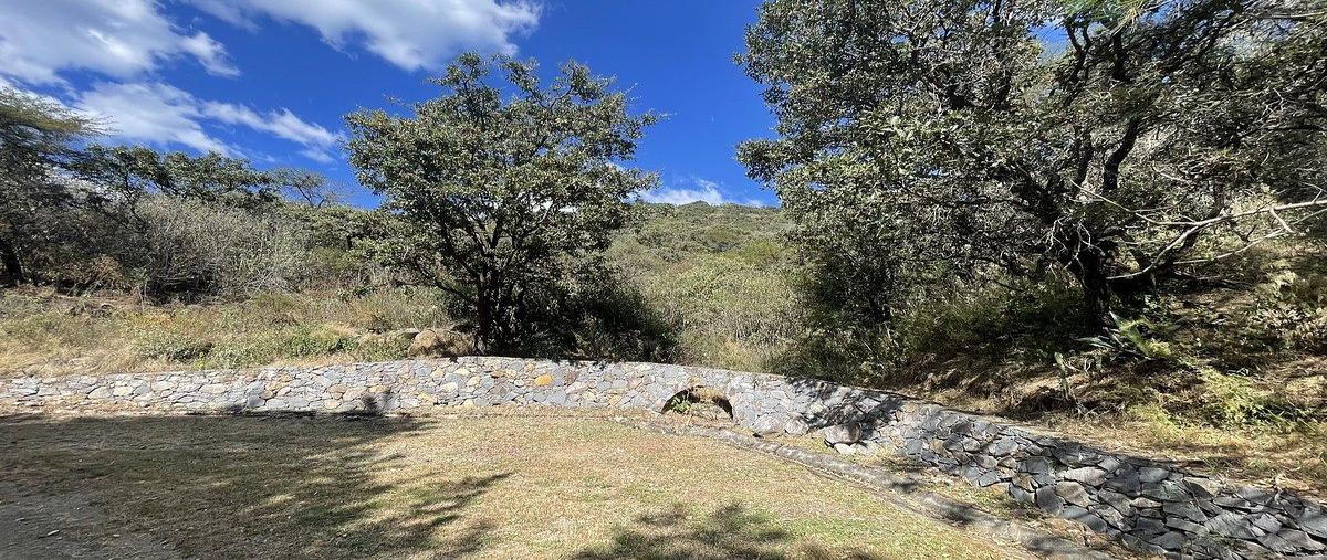 Foto de terreno habitacional en venta en portal morelos , tapalpa, tapalpa, jalisco, 30687174 No. 04