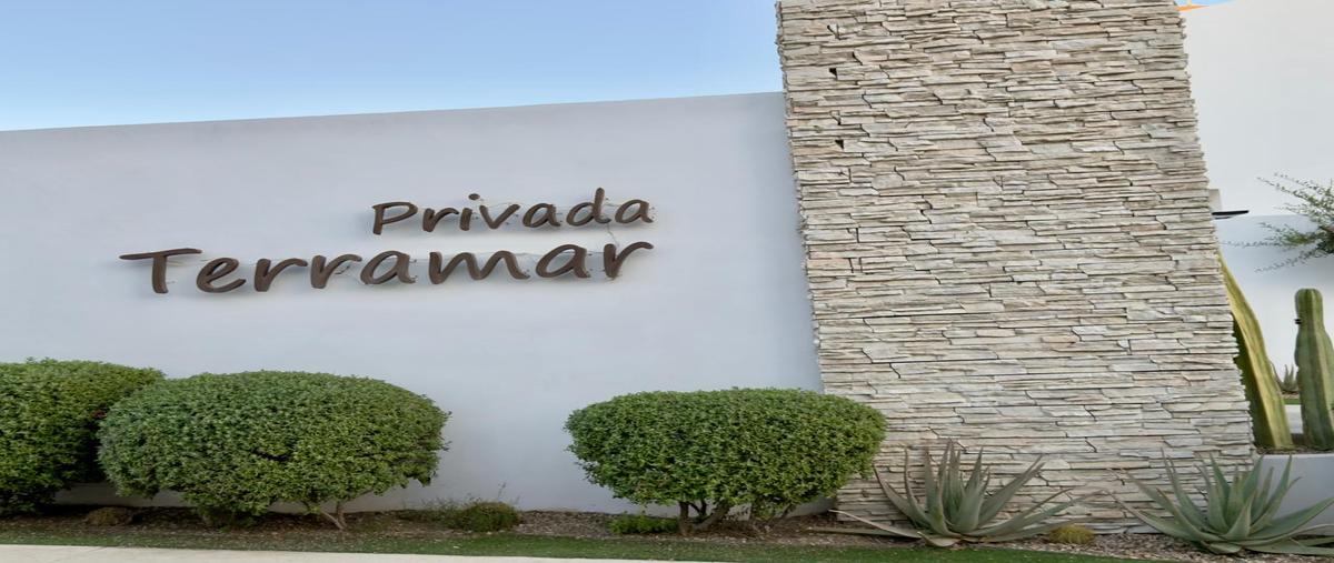 Foto de casa en renta en  , portales, los cabos, baja california sur, 0 No. 03