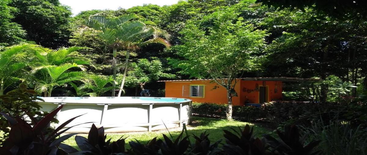 Foto de terreno habitacional en venta en  , potrerillo, medellín de bravo, veracruz de ignacio de la llave, 0 No. 05