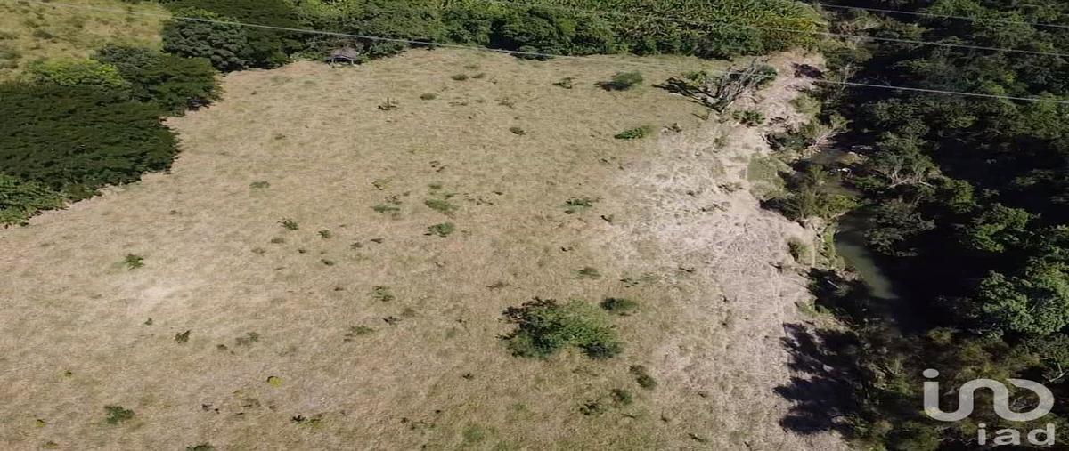 Foto de terreno comercial en potrero 71, francisco luján adame (dos pasos), castillo de teayo, veracruz de ignacio de la llave, 30555697 foto 03 Foto de terreno comercial en venta en potrero 71, francisco luján adame (dos pasos), castillo de teayo, veracruz de ignacio de la llave, 30555697 No. 03