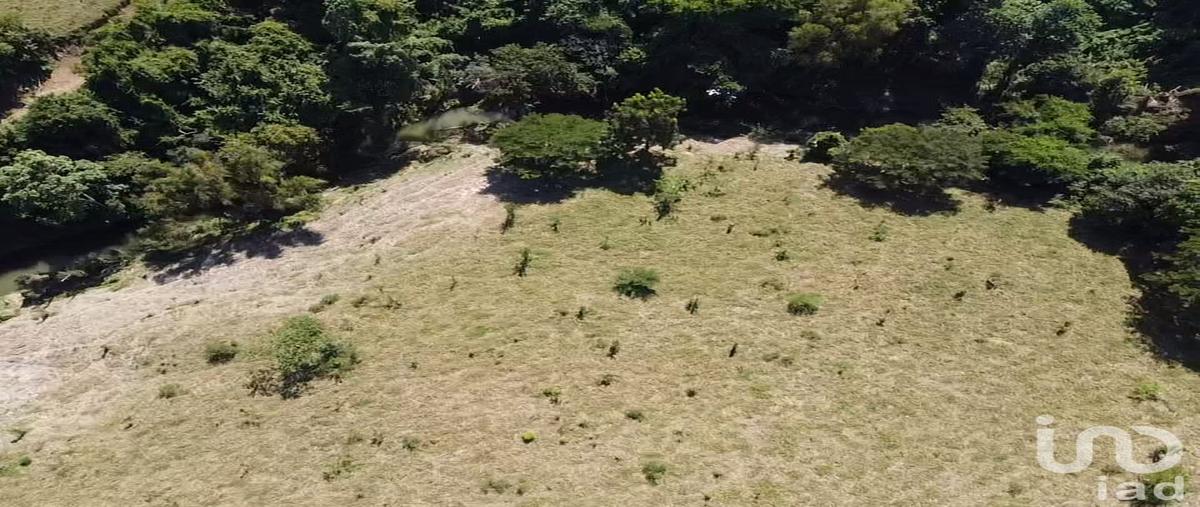 Foto de terreno comercial en potrero 71, francisco luján adame (dos pasos), castillo de teayo, veracruz de ignacio de la llave, 30555697 foto 04 Foto de terreno comercial en venta en potrero 71, francisco luján adame (dos pasos), castillo de teayo, veracruz de ignacio de la llave, 30555697 No. 04