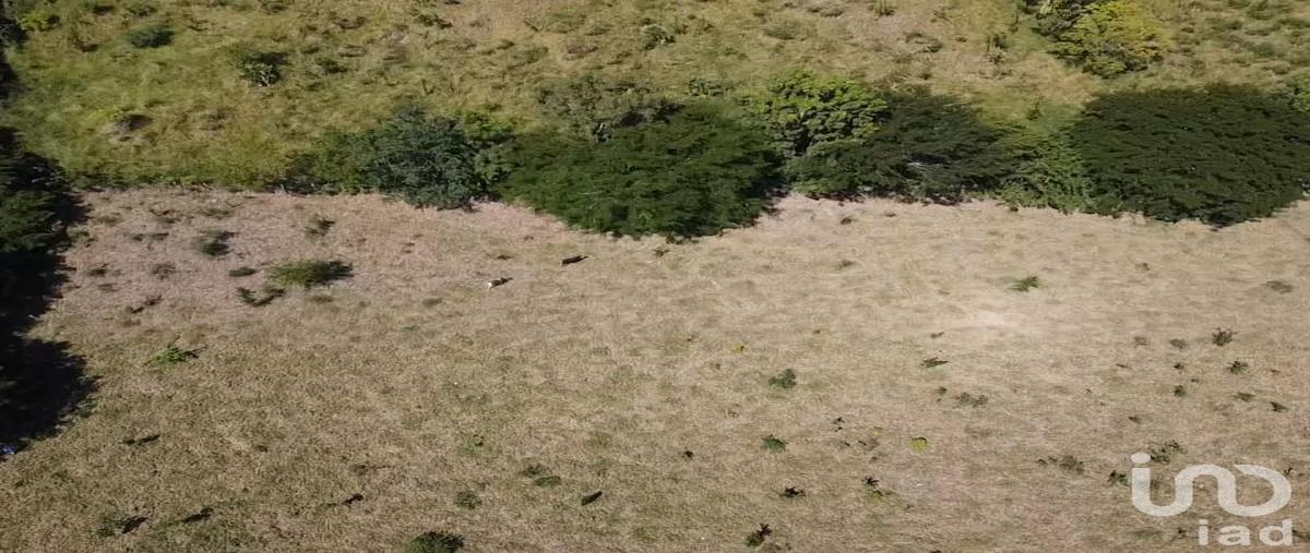 Foto de terreno comercial en potrero 71, francisco luján adame (dos pasos), castillo de teayo, veracruz de ignacio de la llave, 30555697 foto 05 Foto de terreno comercial en venta en potrero 71, francisco luján adame (dos pasos), castillo de teayo, veracruz de ignacio de la llave, 30555697 No. 05