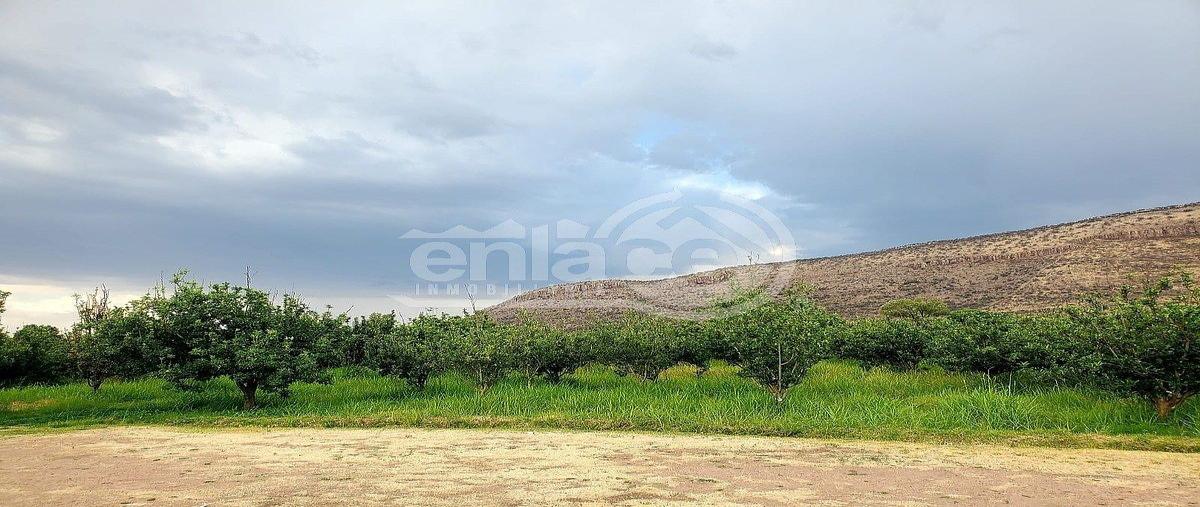 Foto de rancho en venta en potrero de rocha colima , canatlán centro, canatlán, durango, 30735321 No. 03