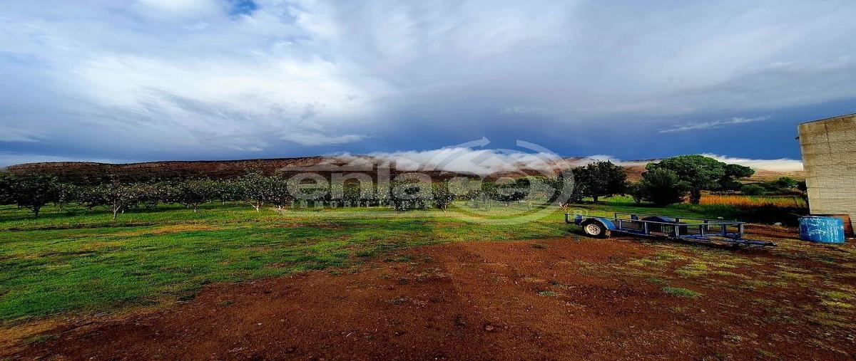 Foto de rancho en venta en potrero de rocha colima , canatlán centro, canatlán, durango, 30735321 No. 04