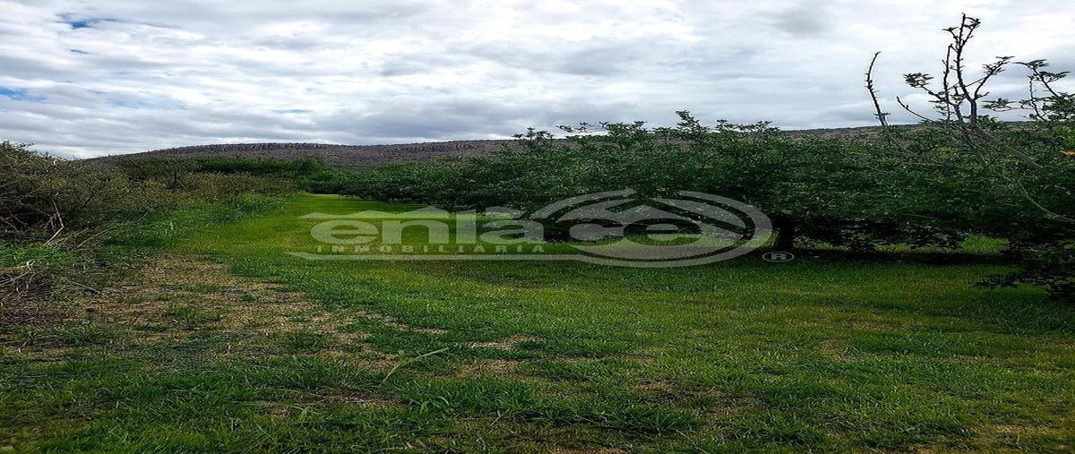 Foto de rancho en venta en potrero de rocha colima , canatlán centro, canatlán, durango, 30735321 No. 05