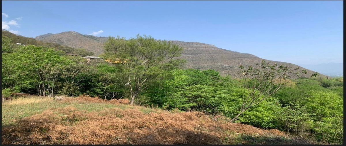 Foto de terreno habitacional en , potrero de serna, santiago, nuevo león, 26967349 foto 02 Foto de terreno habitacional en venta en , potrero de serna, santiago, nuevo león, 26967349 No. 02