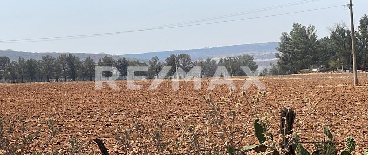 Foto de terreno comercial en venta en potrero las palomas , tototlan centro, tototlán, jalisco, 30312531 No. 03