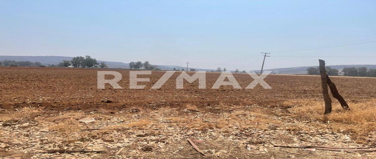 Foto de terreno comercial en venta en potrero las palomas , tototlan centro, tototlán, jalisco, 30312531 No. 04