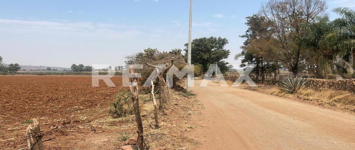 Foto de terreno comercial en venta en potrero las palomas , tototlan centro, tototlán, jalisco, 30312531 No. 05