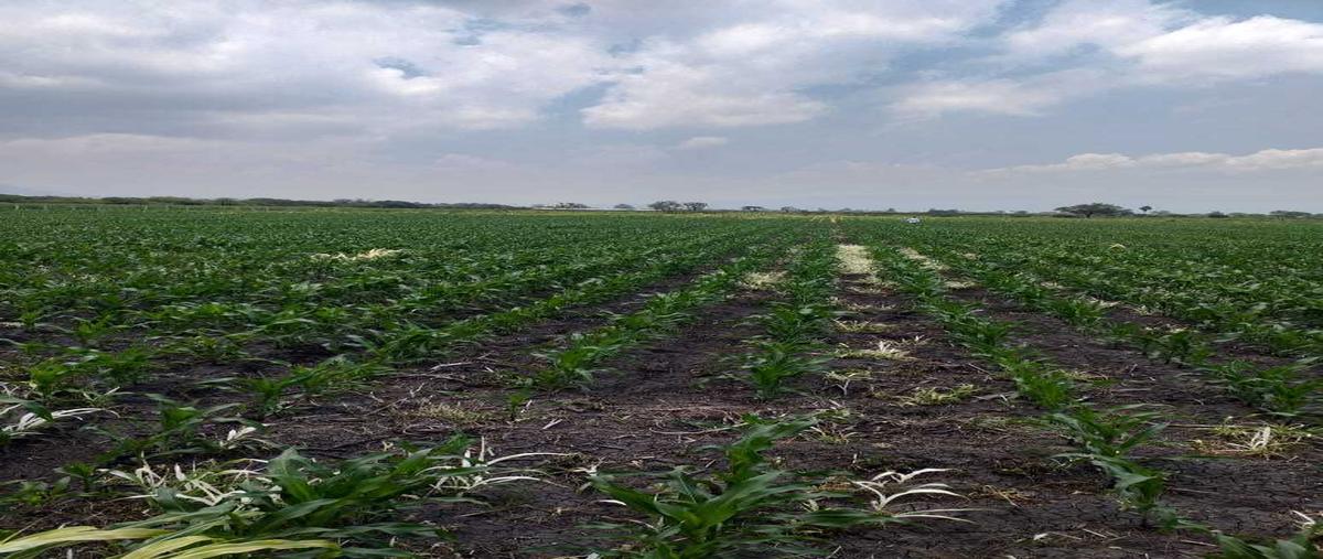 Foto de terreno habitacional en potrero negro , acatlan de juárez, acatlán de juárez, jalisco, 0 foto 02 Foto de terreno habitacional en venta en potrero negro , acatlan de juárez, acatlán de juárez, jalisco, 0 No. 02