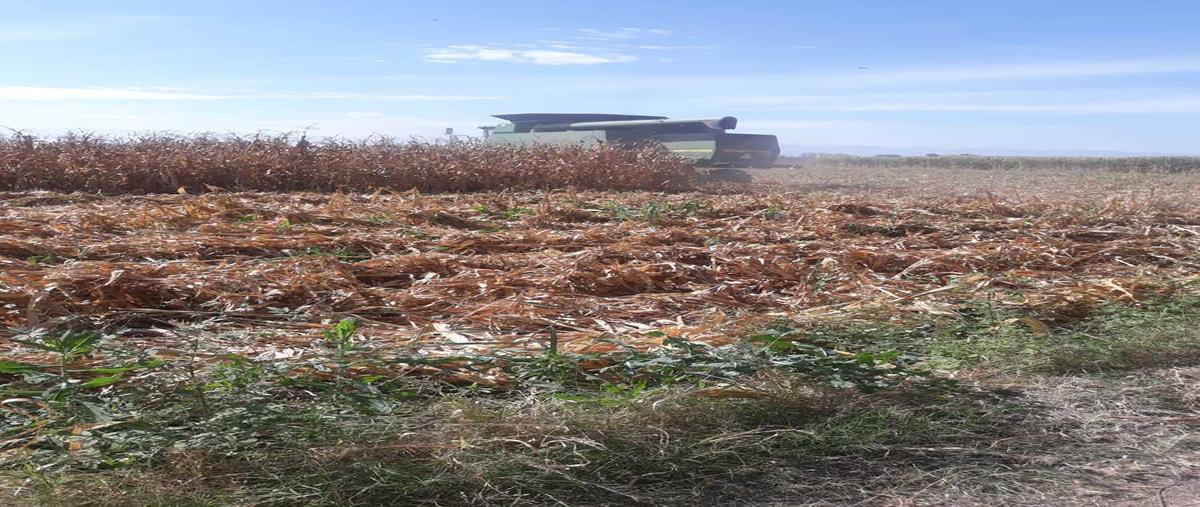 Foto de terreno habitacional en potrero negro , acatlan de juárez, acatlán de juárez, jalisco, 0 foto 03 Foto de terreno habitacional en venta en potrero negro , acatlan de juárez, acatlán de juárez, jalisco, 0 No. 03