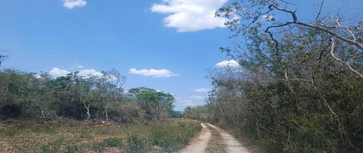 Foto de terreno habitacional en poxila , poxila, umán, yucatán, 30907574 foto 07 Foto de terreno habitacional en venta en poxila , poxila, umán, yucatán, 30907574 No. 07