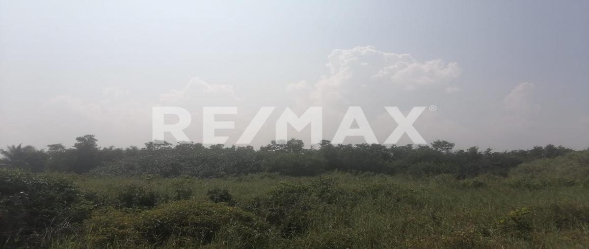 Foto de terreno comercial en venta en poza verde y tenixtepec , puente de piedra, papantla, veracruz de ignacio de la llave, 28975084 No. 04