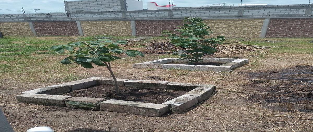 Foto de terreno habitacional en pozo victoria , oacalco, yautepec, morelos, 0 foto 09 Foto de terreno habitacional en venta en pozo victoria , oacalco, yautepec, morelos, 0 No. 09