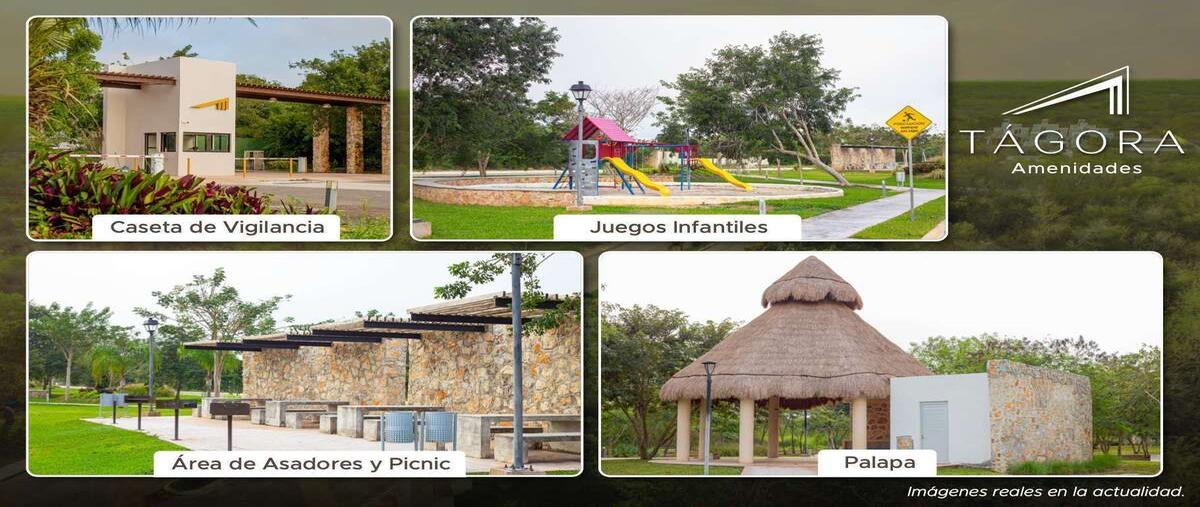 Foto de terreno habitacional en venta en  , praderas del mayab, conkal, yucatán, 0 No. 05