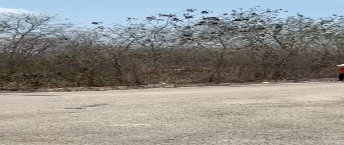 Foto de terreno habitacional en venta en praderas del mayab , praderas del mayab, conkal, yucatán, 0 No. 04