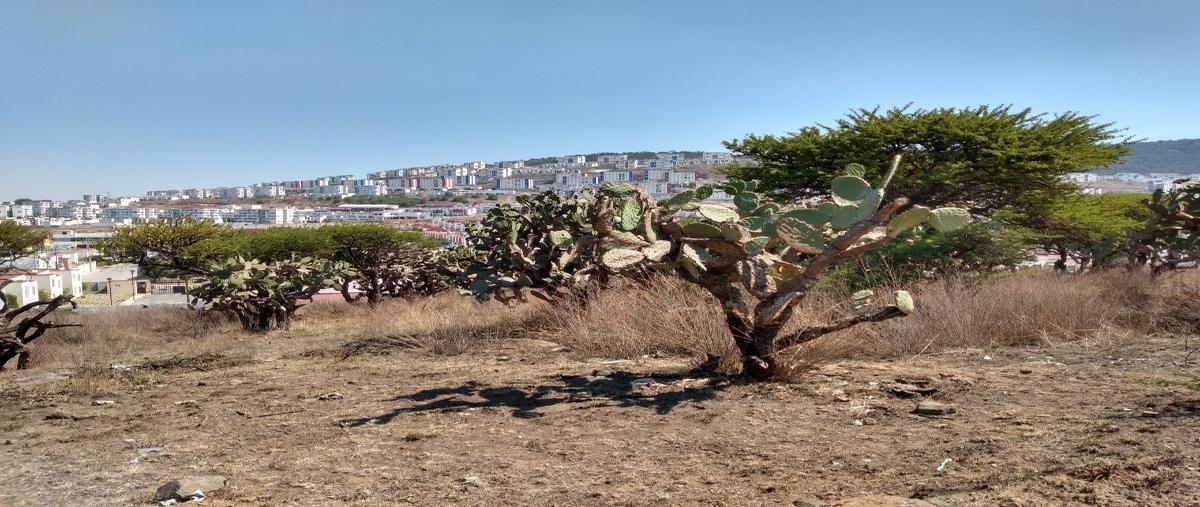 Foto de terreno habitacional en venta en  , praderas del potrero, atotonilco de tula, hidalgo, 27300930 No. 03