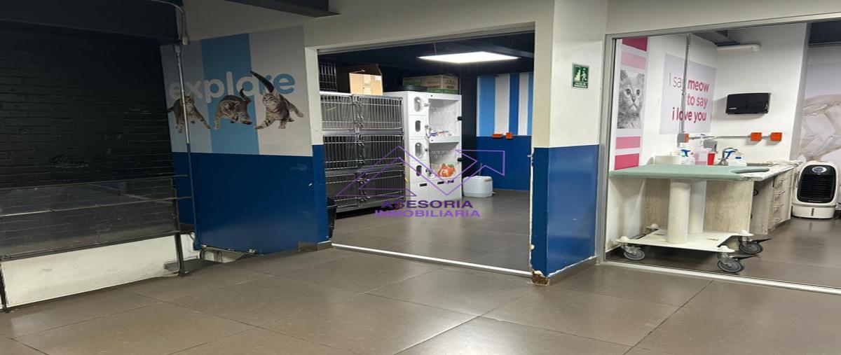 Foto de local en prado norte , lomas de chapultepec vii sección, miguel hidalgo, df / cdmx, 30612766 foto 04 Foto de local en renta en prado norte , lomas de chapultepec vii sección, miguel hidalgo, df / cdmx, 30612766 No. 04