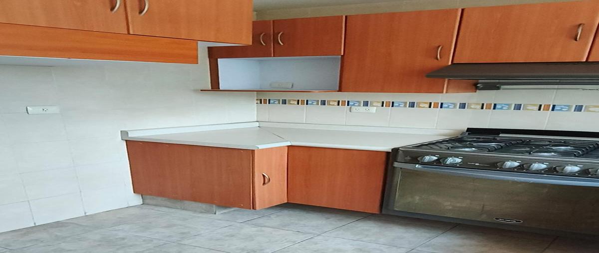 Foto de departamento en renta en  , prados agua azul, puebla, puebla, 0 No. 05
