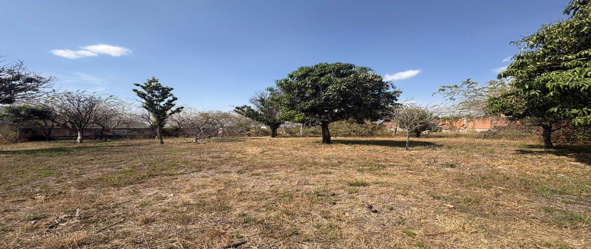 Foto de terreno habitacional en venta en  , prados del sol, ayala, morelos, 30562756 No. 04