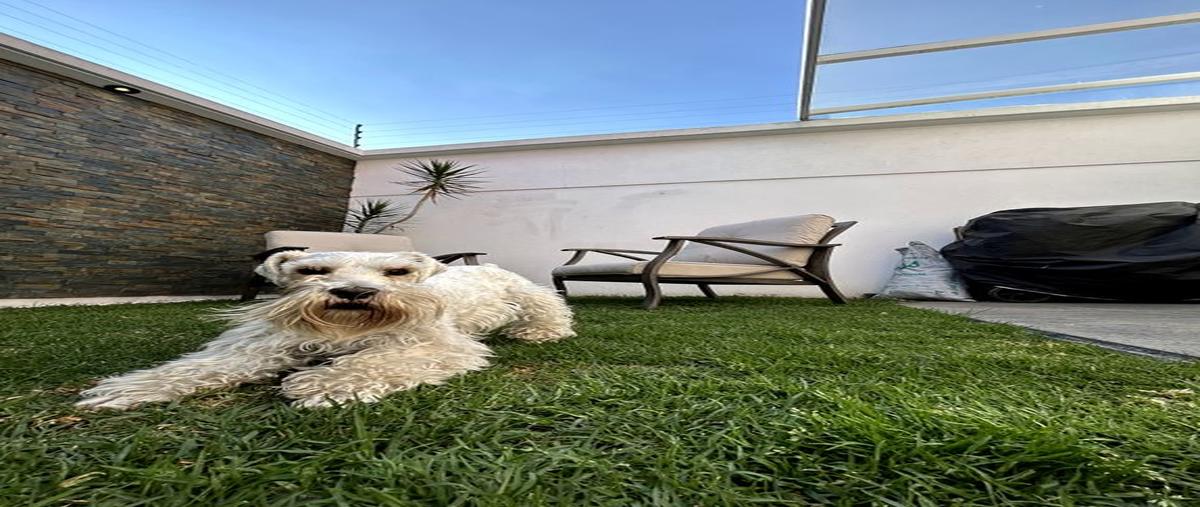 Foto de casa en venta en prato 1, san josé guadalupe otzacatipan, toluca, méxico, 0 No. 05