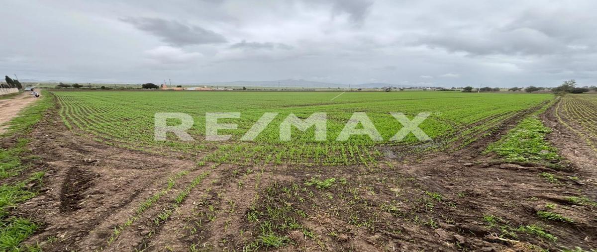 Foto de terreno comercial en predio agrícola s/n conocido como "la carretera" , chimalpa tlalayote, apan, hidalgo, 0 foto 02 Foto de terreno comercial en venta en predio agrícola s/n conocido como "la carretera" , chimalpa tlalayote, apan, hidalgo, 0 No. 02
