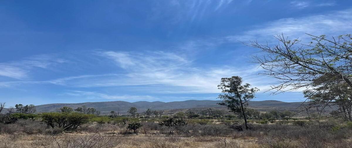 Foto de terreno habitacional en venta en predio al saltillo de guadalupe , el saltito, san miguel de allende, guanajuato, 0 No. 04