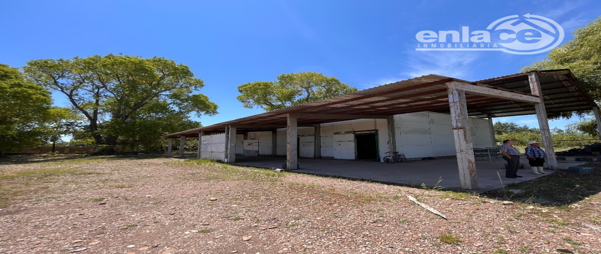 Foto de rancho en venta en predio cañada , predio la cañada, canatlán, durango, 26887910 No. 04