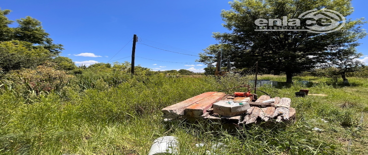 Foto de rancho en venta en predio cañada , predio la cañada, canatlán, durango, 26887910 No. 05