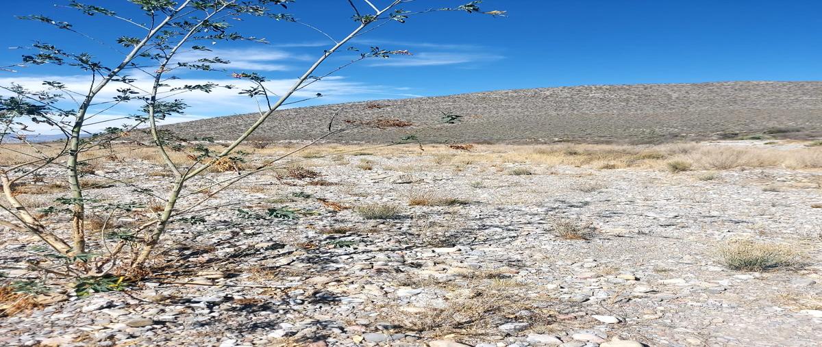 Foto de terreno comercial en venta en predio cerrito la roja , el cedrito, arteaga, coahuila de zaragoza, 26888362 No. 03