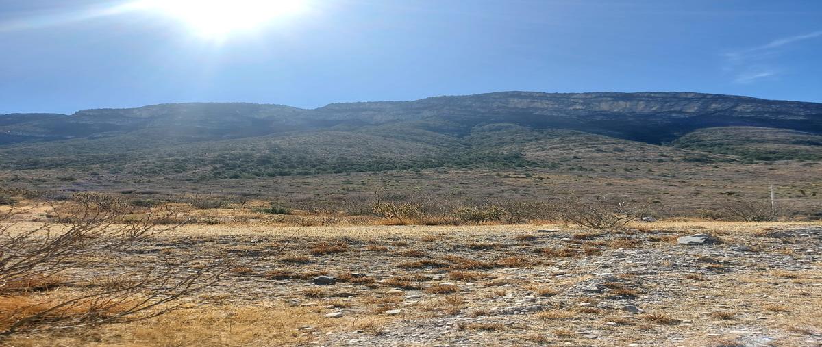 Foto de terreno comercial en venta en predio cerrito la roja , el cedrito, arteaga, coahuila de zaragoza, 26888362 No. 05