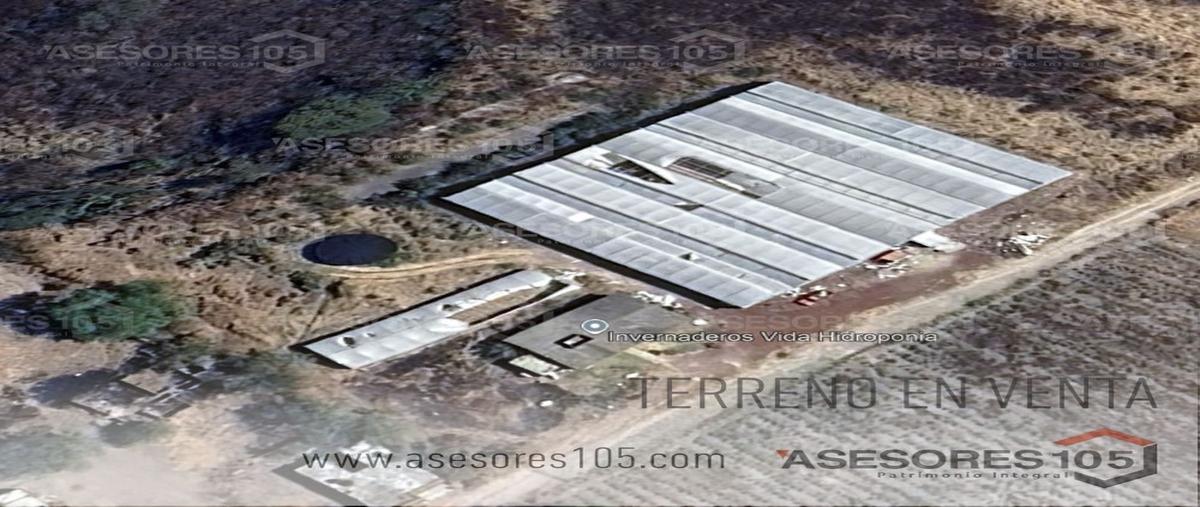 Foto de terreno habitacional en venta en predio denominado la arena en zapotlanejo , la laja, zapotlanejo, jalisco, 0 No. 03