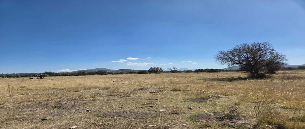 Foto de terreno habitacional en predio denominado primera fracción de los leones , santiago tepeyahualco, zempoala, hidalgo, 0 foto 02 Foto de terreno habitacional en venta en predio denominado primera fracción de los leones , santiago tepeyahualco, zempoala, hidalgo, 0 No. 02