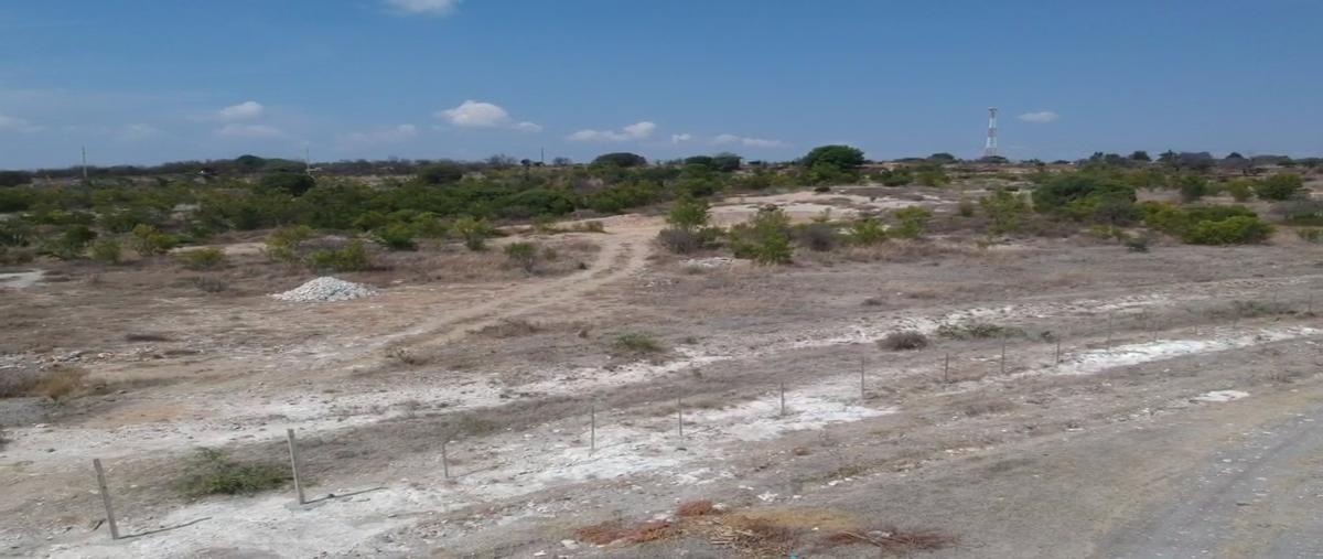 Foto de terreno habitacional en venta en predio el fortin , santo tomás chautla (ixcobenta), puebla, puebla, 25670732 No. 05
