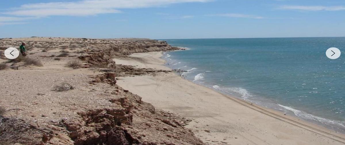 Foto de terreno habitacional en predio frente a playacarretera internacional corredor turístico san luis rio colorado a puerto peñascosonora , golfo de santa clara, san luis río colorado, sonora, 29844621 foto 02 Foto de terreno habitacional en venta en predio frente a playacarretera internacional corredor turístico san luis rio colorado a puerto peñascosonora , golfo de santa clara, san luis río colorado, sonora, 29844621 No. 02