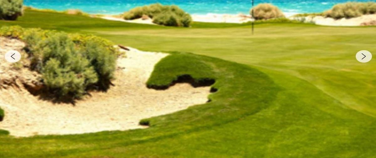 Foto de terreno habitacional en predio frente a playacarretera internacional corredor turístico san luis rio colorado a puerto peñascosonora , golfo de santa clara, san luis río colorado, sonora, 29844621 foto 03 Foto de terreno habitacional en venta en predio frente a playacarretera internacional corredor turístico san luis rio colorado a puerto peñascosonora , golfo de santa clara, san luis río colorado, sonora, 29844621 No. 03