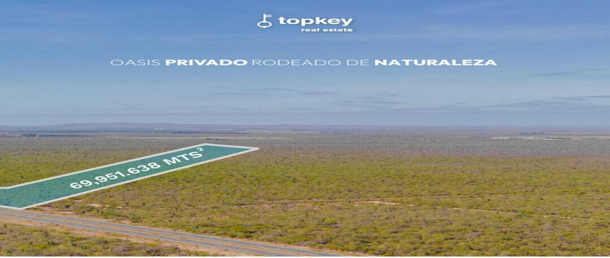 Foto de terreno habitacional en venta en predio guadalupe y mangle carrizalcarretera la paz todos santos , el carrizal, la paz, baja california sur, 28821961 No. 04