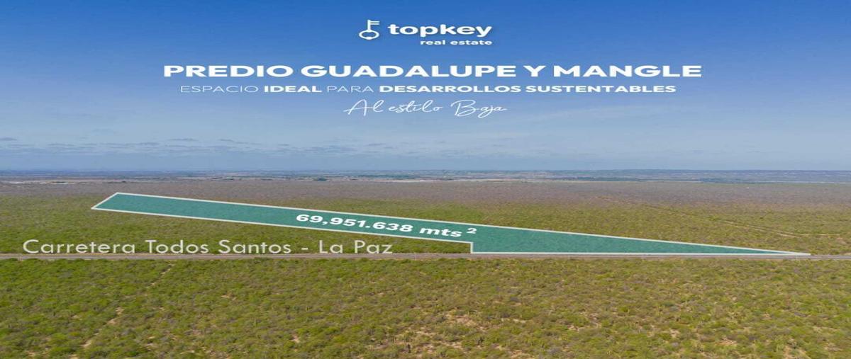 Foto de terreno habitacional en venta en predio guadalupe y mangle carrizalcarretera la paz todos santos , el carrizal, la paz, baja california sur, 28821961 No. 05