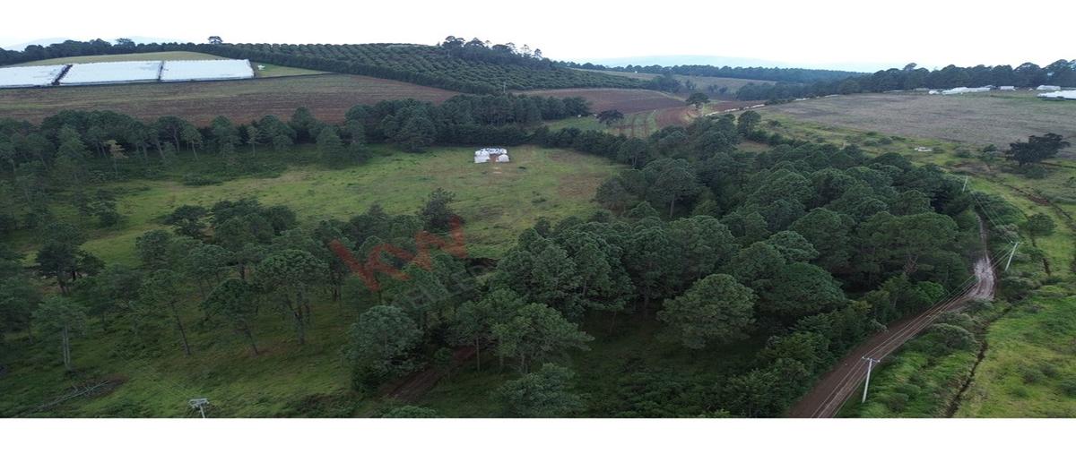 Foto de terreno habitacional en predio la pitaya , tapalpa, tapalpa, jalisco, 0 foto 01 Foto de terreno habitacional en venta en predio la pitaya , tapalpa, tapalpa, jalisco, 0 No. 01