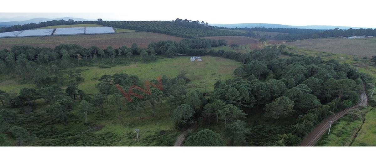 Foto de terreno habitacional en predio la pitaya , tapalpa, tapalpa, jalisco, 0 foto 02 Foto de terreno habitacional en venta en predio la pitaya , tapalpa, tapalpa, jalisco, 0 No. 02