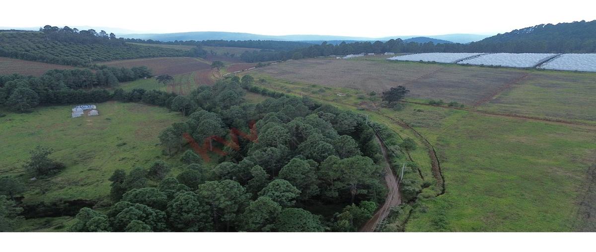 Foto de terreno habitacional en predio la pitaya , tapalpa, tapalpa, jalisco, 0 foto 03 Foto de terreno habitacional en venta en predio la pitaya , tapalpa, tapalpa, jalisco, 0 No. 03