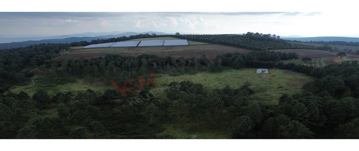 Foto de terreno habitacional en predio la pitaya , tapalpa, tapalpa, jalisco, 0 foto 04 Foto de terreno habitacional en venta en predio la pitaya , tapalpa, tapalpa, jalisco, 0 No. 04