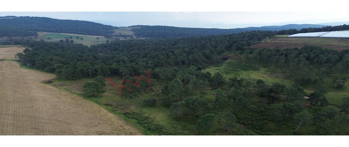 Foto de terreno habitacional en predio la pitaya , tapalpa, tapalpa, jalisco, 0 foto 05 Foto de terreno habitacional en venta en predio la pitaya , tapalpa, tapalpa, jalisco, 0 No. 05