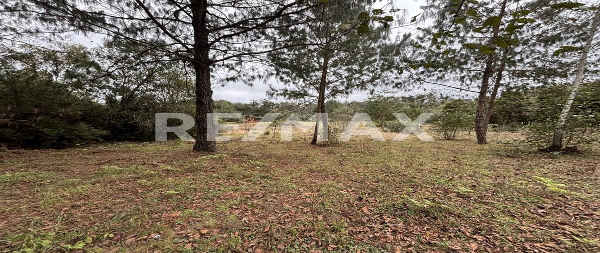 Foto de terreno habitacional en venta en predio los manzanos , venta chica, huauchinango, puebla, 0 No. 03